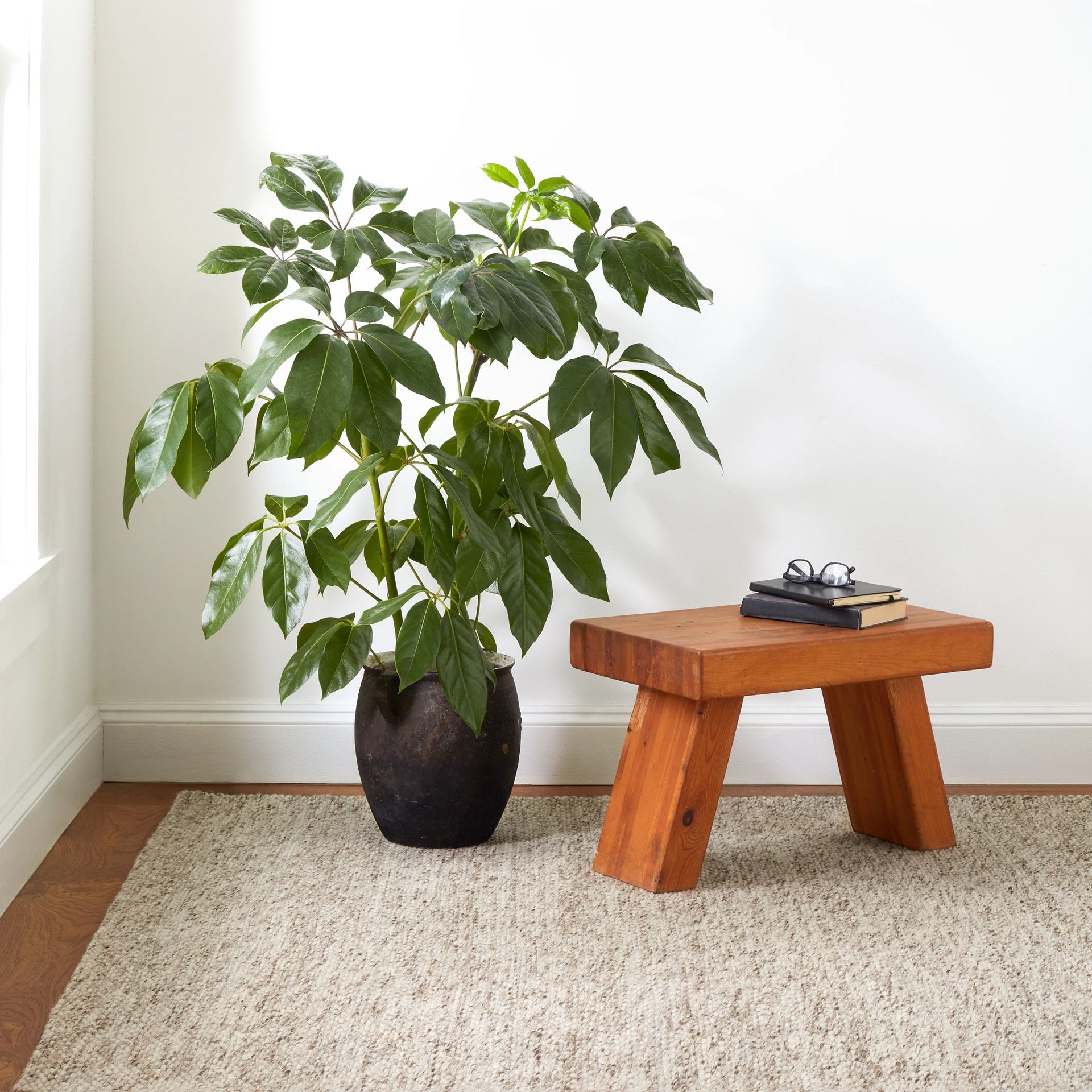 Loggia Natural Handwoven Wool Rug