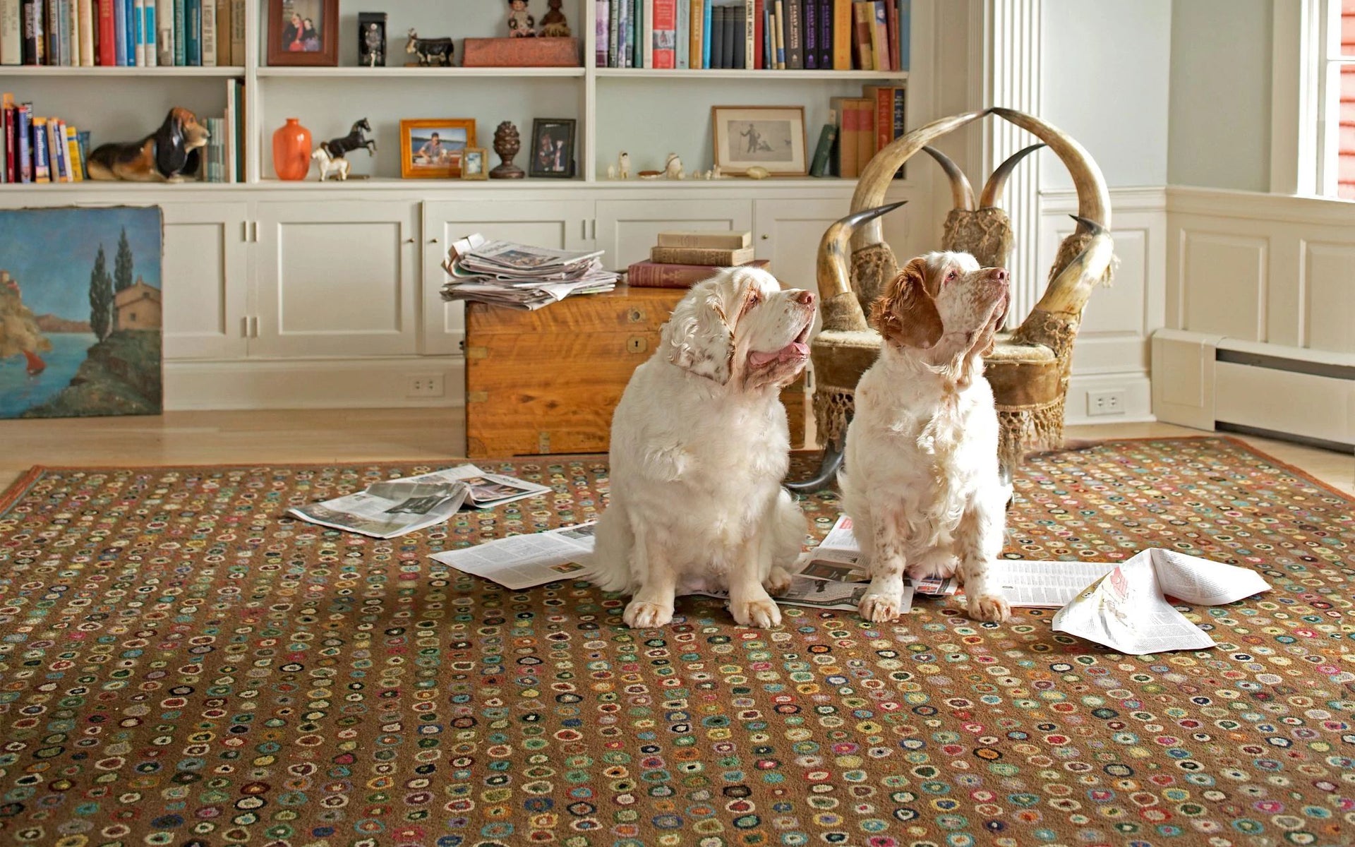 Cat's Paw Brown Hand Micro Hooked Wool Rug