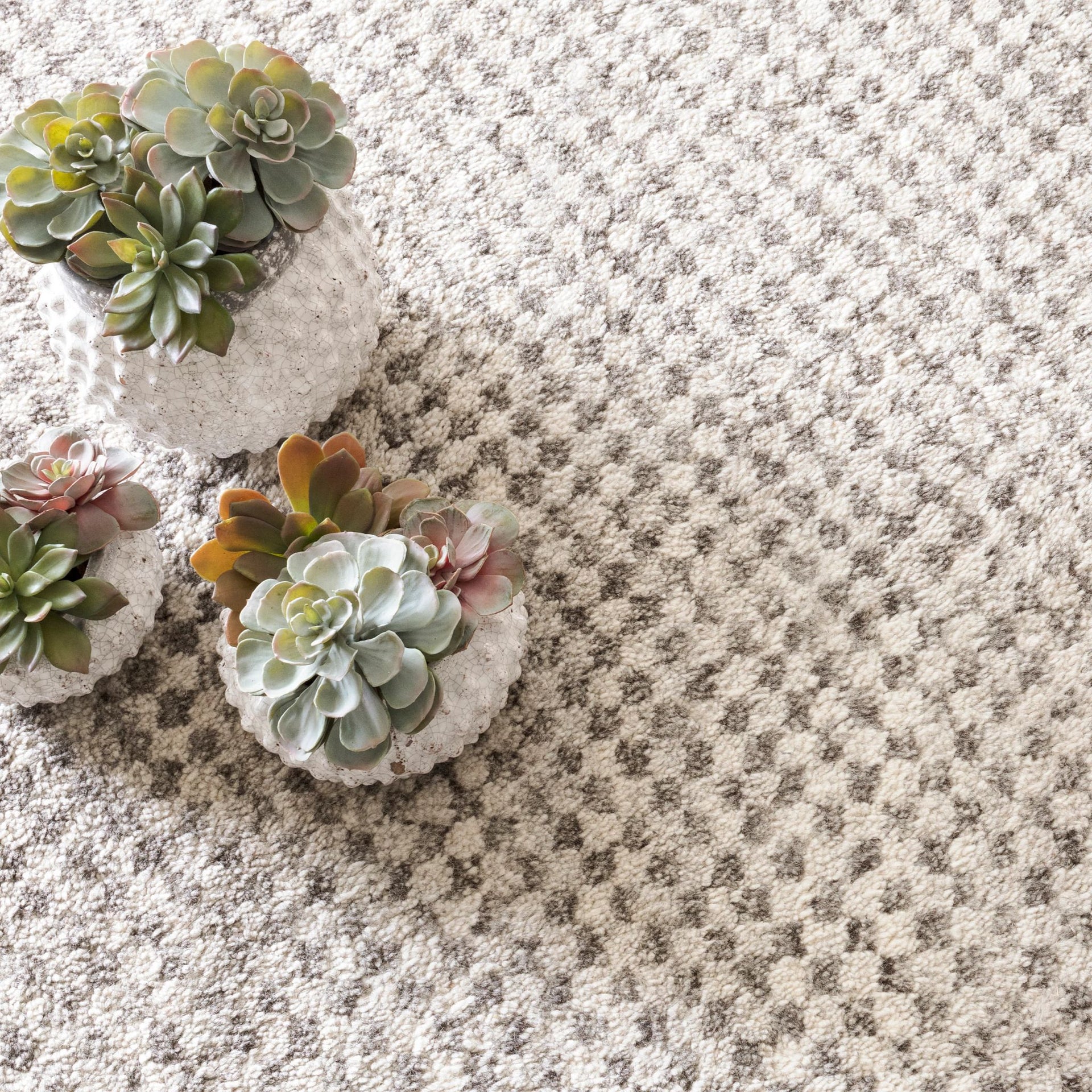 Citra Grey Hand Knotted Wool Rug