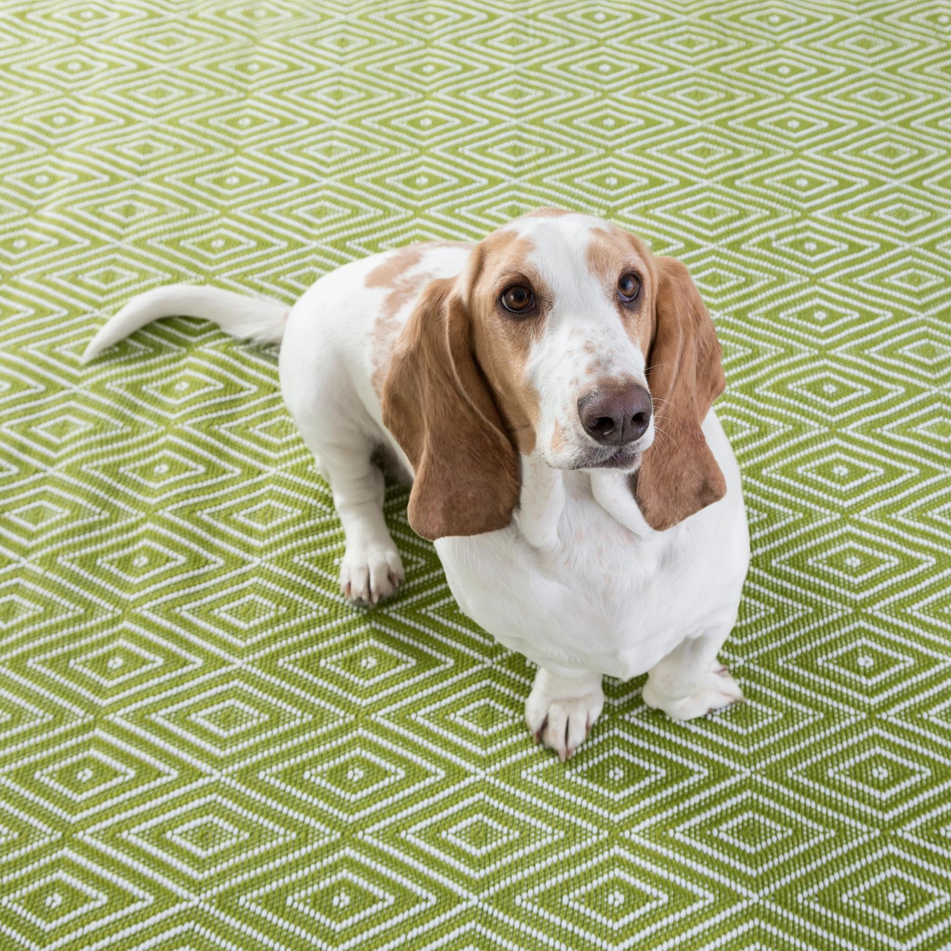 Diamond Sprout/White Handwoven Indoor/Outdoor Rug